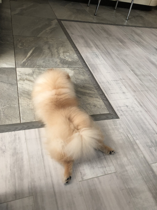 6713DFF9-B534-460E-9511-0A495856295F