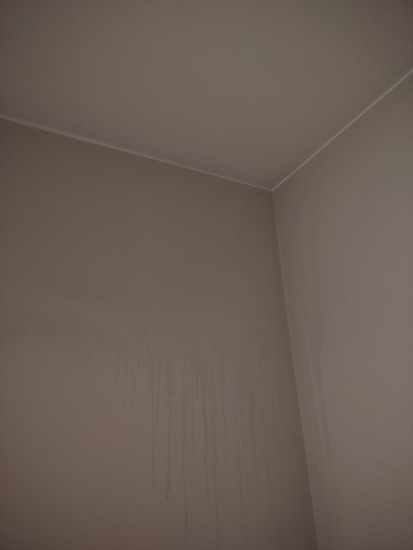 IMG 20251217 090811