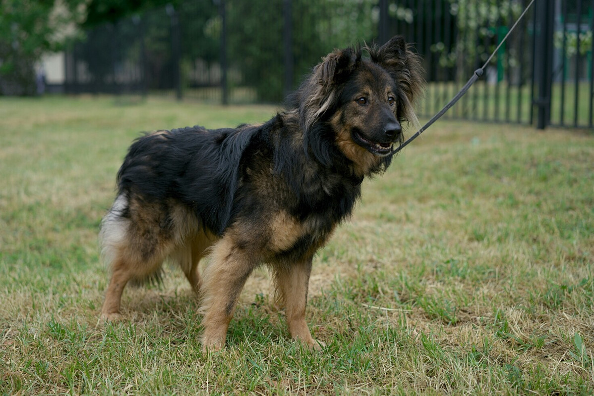 8DC6DC20-47C6-4052-980C-EB7FC98D3088