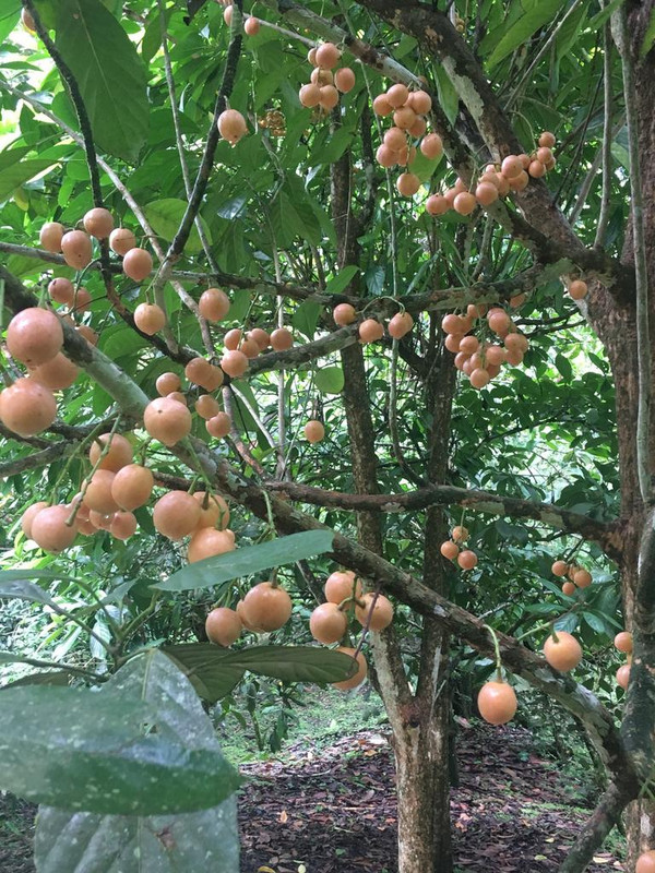 F451E1E6-24B7-4030-869F-0C2DDE4B1CAB