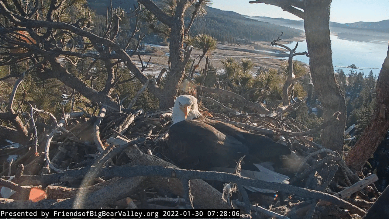 Webp.net-gifmaker (6)