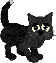 EnigmaMain