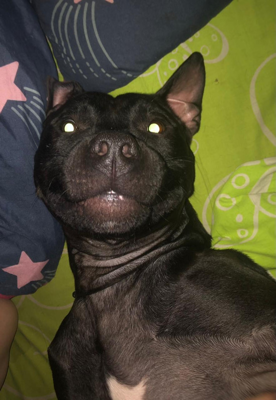 596E2FF9-B0A8-4353-958A-271D01DEADE8