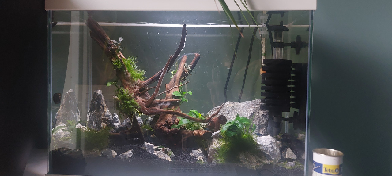 17156229946592013745520437515359