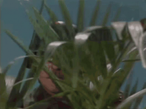 697-DB80-B-03-F5-43-C9-B727-F57824212-EF4-852-0000016-BB92-A3302