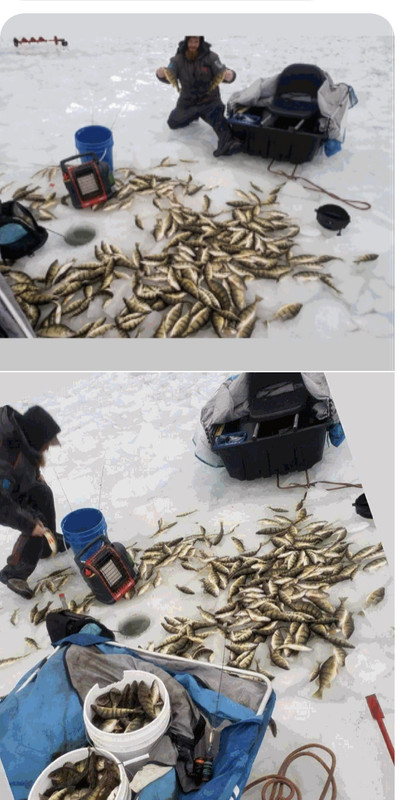 7F22A10E-035E-47AE-AA02-97F30A2AF2A7