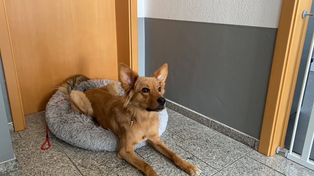 487A9893-98ED-4E26-BB5A-7121A5E23B83