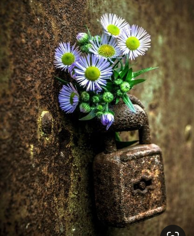 Screenshot_20230712_005901_Pinterest