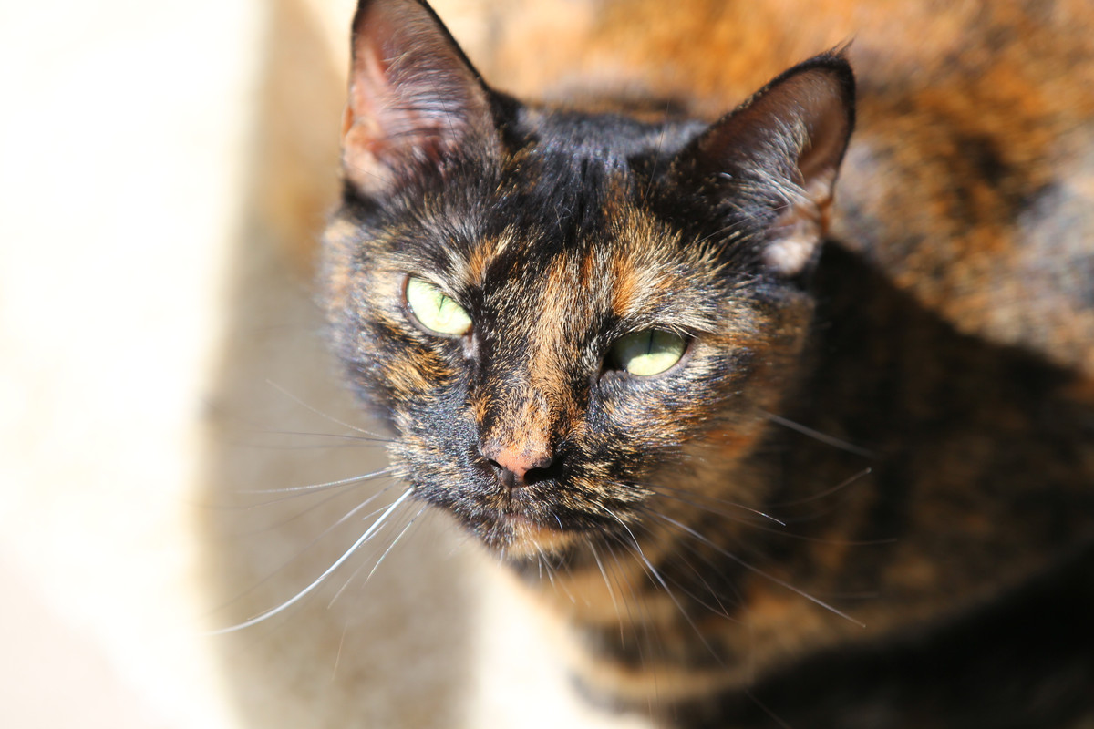 73FF0707-643A-4E30-ACB9-A048A427C5A7