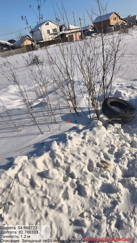 photo 2 2026 02 04 12 43 14