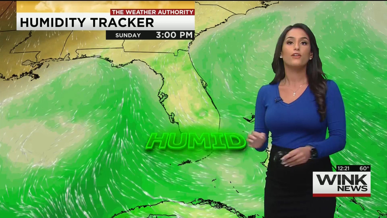 12.08 - 17.00.00 - WINK Noon News..ts_snapshot_24.25.129