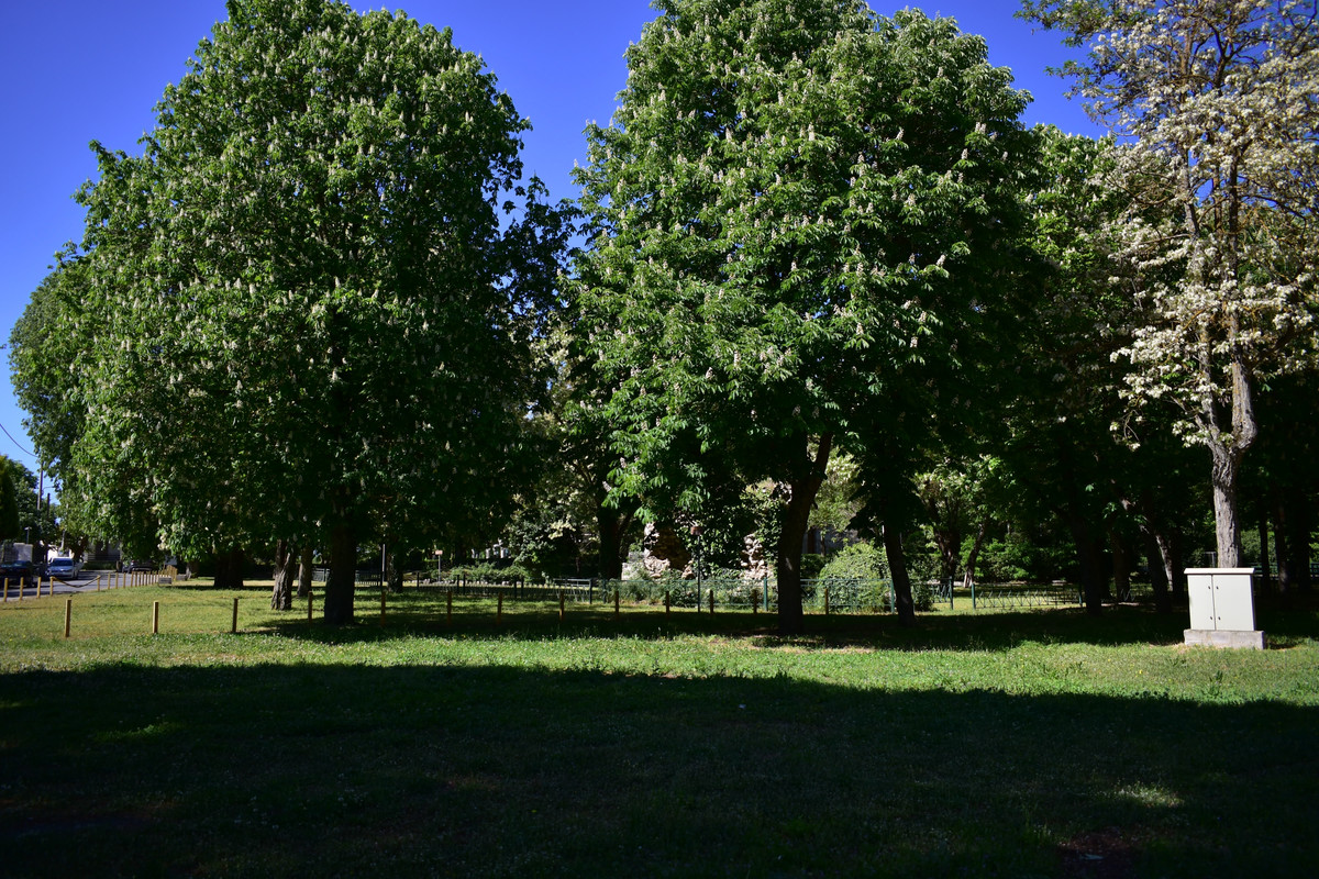 Αρχαιολογικό πάρκο Επισκοπής  (13)