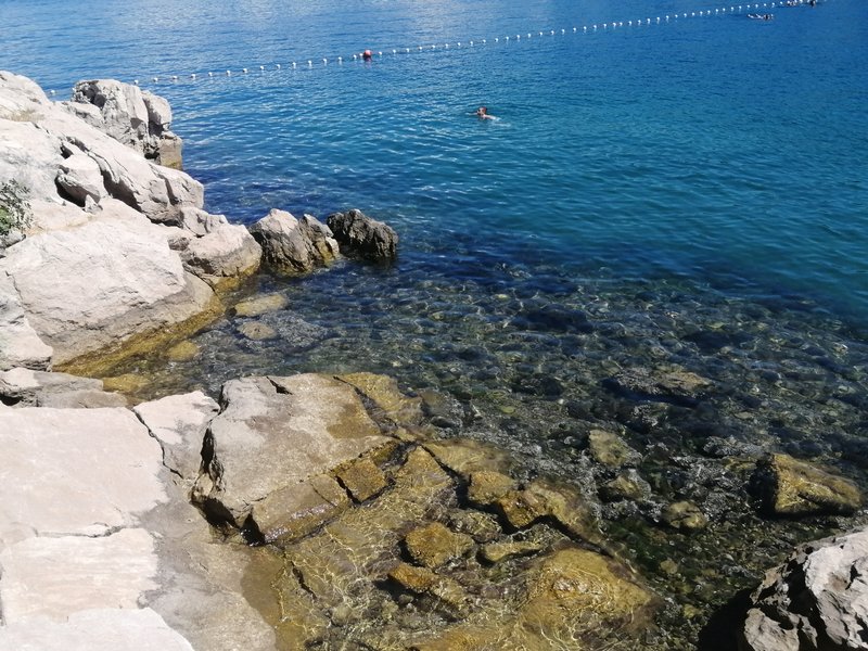Slika