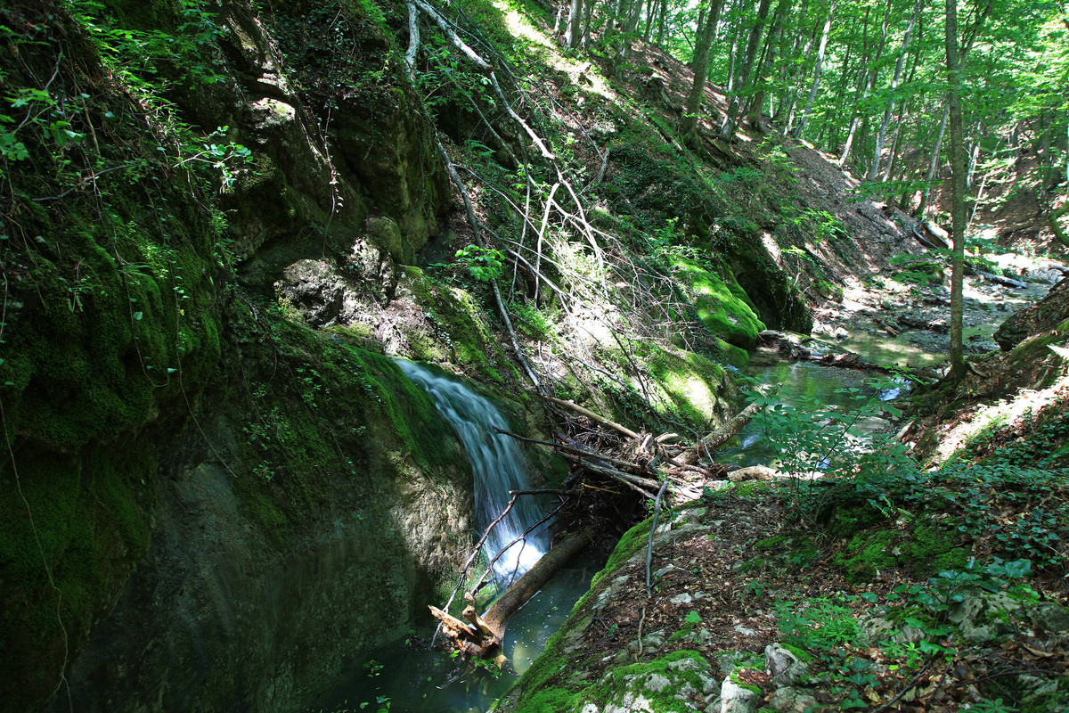 IMG 2061 — Postimages