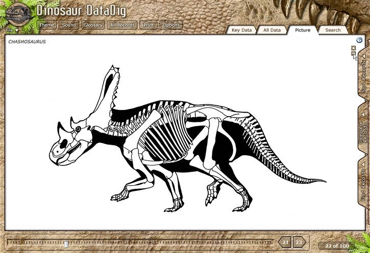 Dinosaur Data Dig (3)