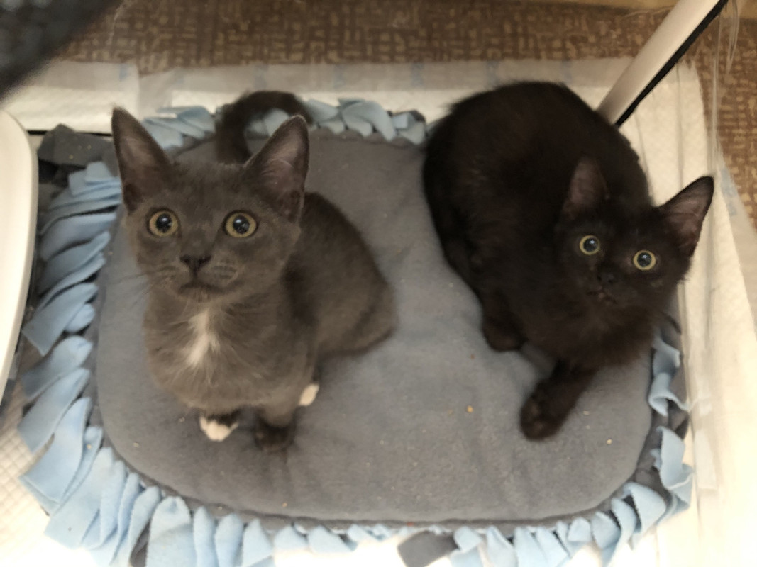 E2D9E7E7-13B3-4377-A3FF-DE0F9FD3E77B