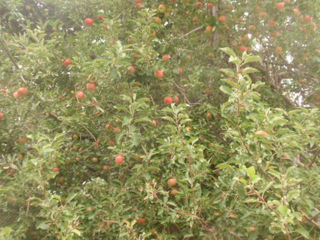 P9122133