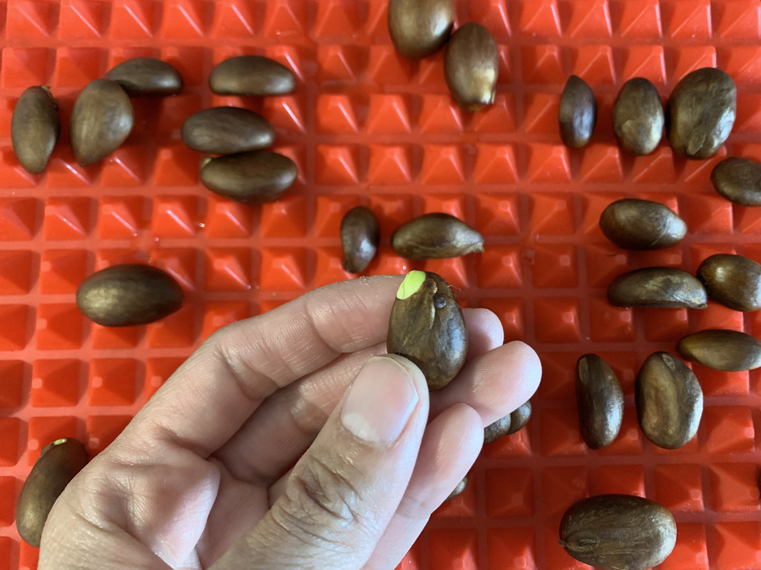 D88E524B-A093-4705-AFE4-91028427321E