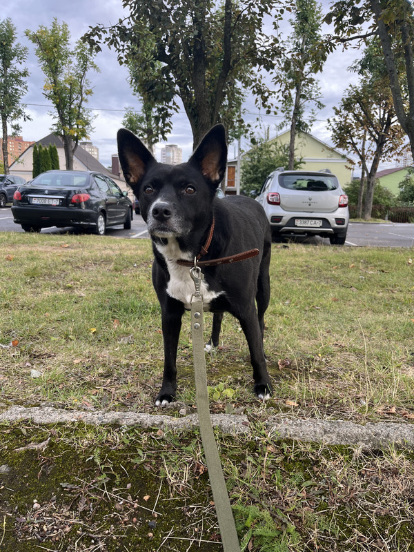 FD3B2D09-3640-4B10-9617-A34026794391