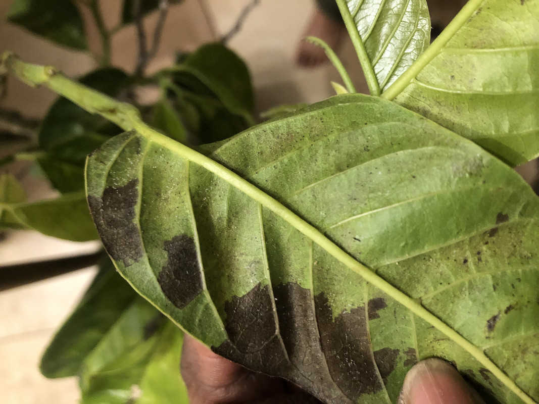 39E13138-4303-4E6A-AF40-0B4DBA2FB8FD