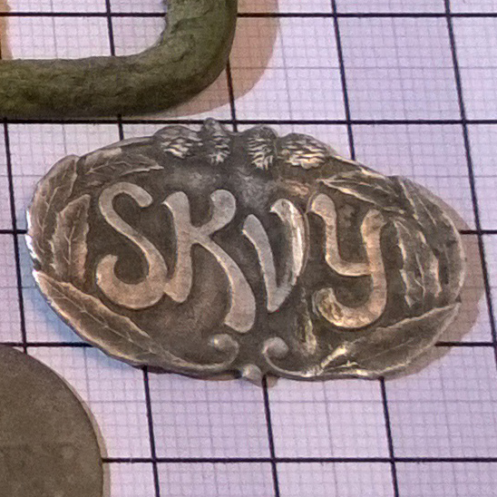 skvy