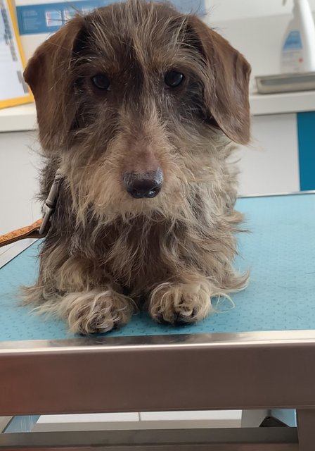 [Image: 0-ACC34-DA-0022-4-AE9-8-CBC-333858-B953-B4.jpg]