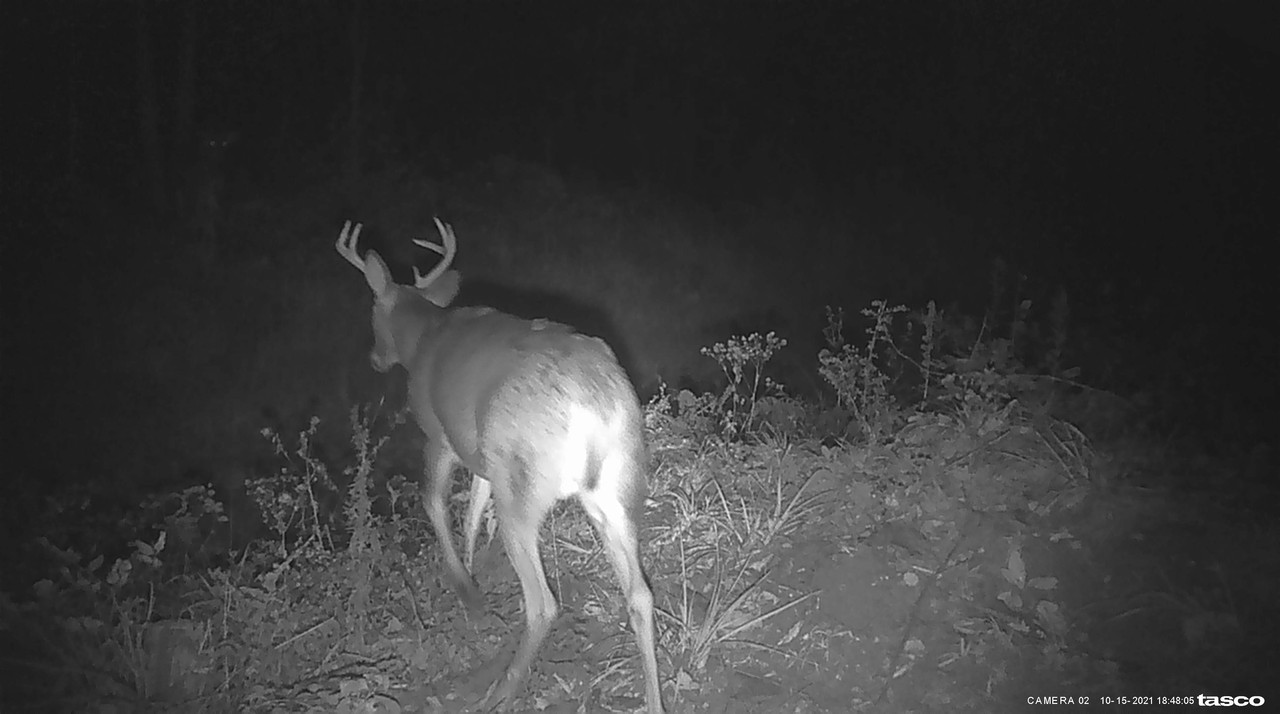 3F8E7BEA-E3C8-4112-9C0D-E01A5683D726