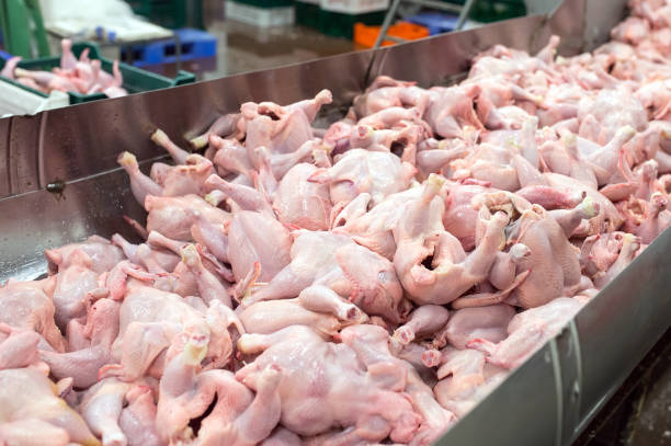 Halal whole chicken