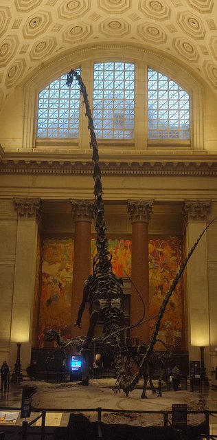 Vista icónica en Dumbo, bicis Central Park, Museo Historia y Little Italy - Nueva York y Cataratas del Niágara 2023 (36)