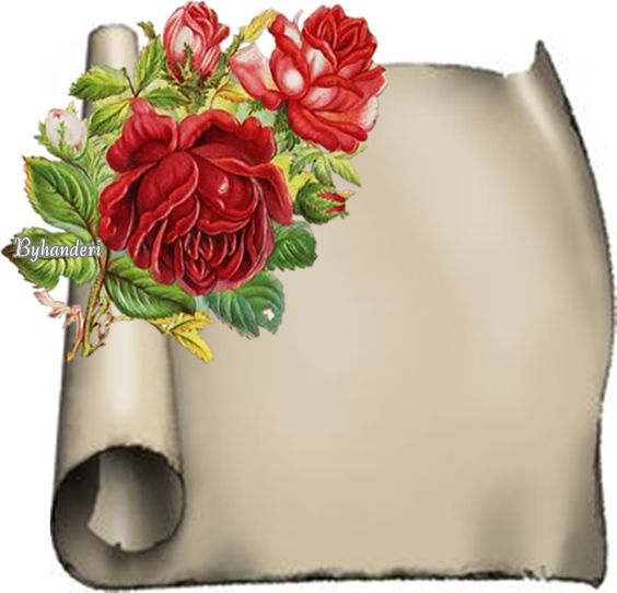 efe465c9085ad9190bfa870f47d70e7b