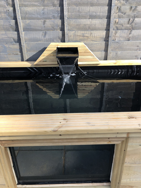 513A4F37-6834-4731-9C32-A6E424A53130