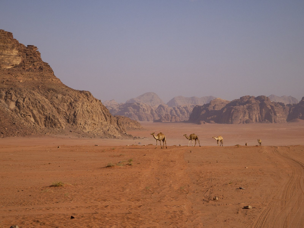 P9223424-1.jpg