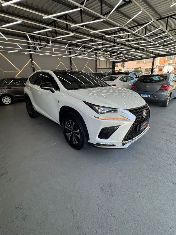 Lexus NX 300 2.0T 2016/2016