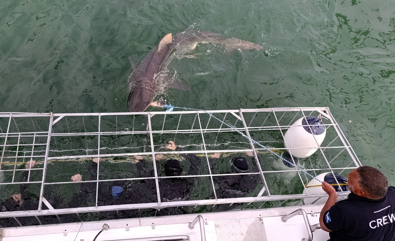 Такая близкая Африка. (ЮАР. 22 дня и 4200 км. Ноябрь-Декабрь)