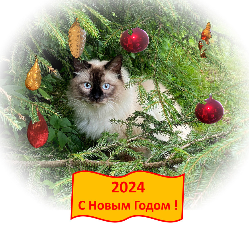 New Year 2024а