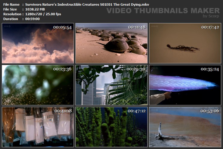 Survivors Nature's Indestructible Creatures S01E01 The Great Dying.mkv