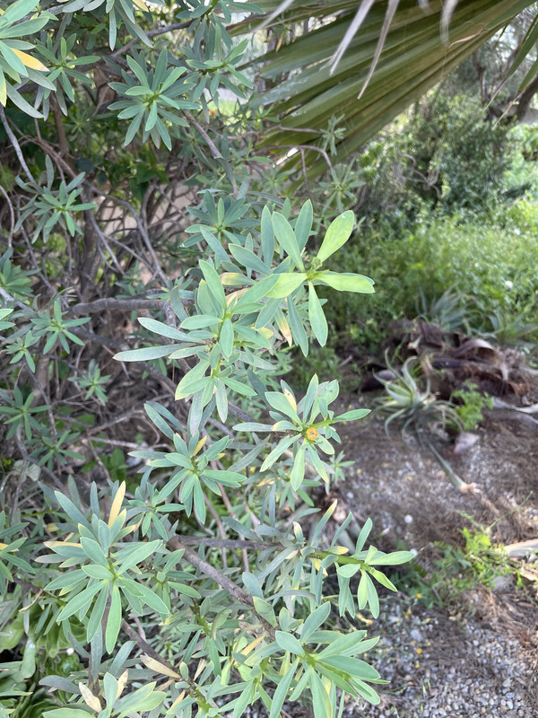 42A94571-7A5F-434A-9CAB-079CBF9181D5