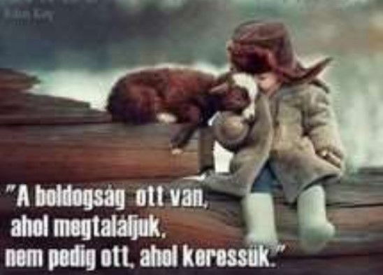 https://i.postimg.cc/zBx3L5ck/a-boldogsag-ottvan.jpg