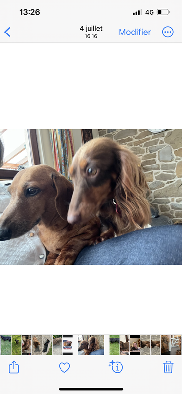 [Image: IMG-0771.png]