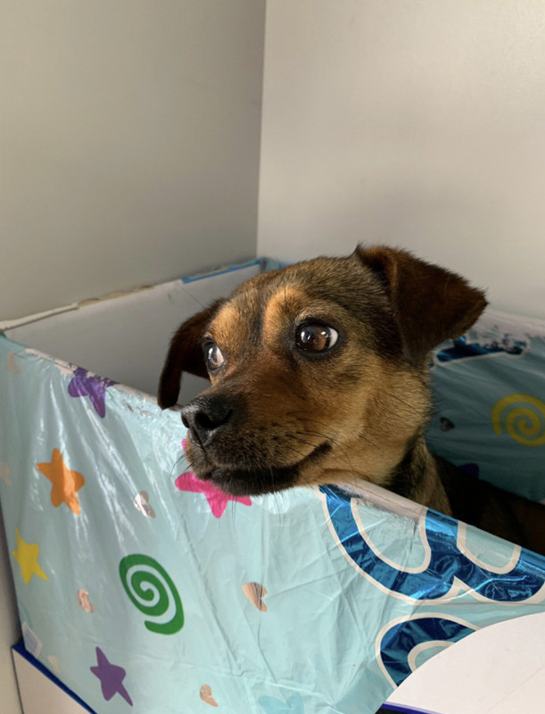 B9C647C2-5202-46D1-A302-F445C056D6C8