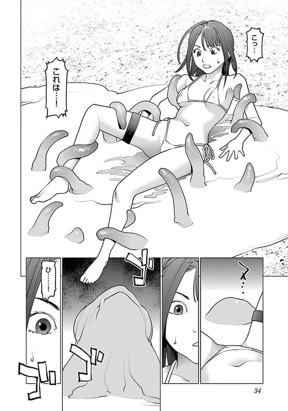 SeishokukiVol8-2