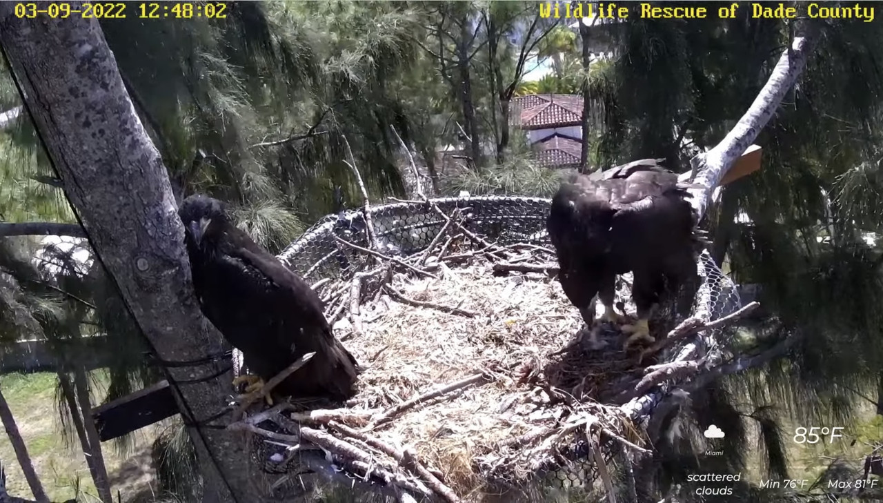 4AADB9FB-533F-4B1D-B53A-183BBB7FC972