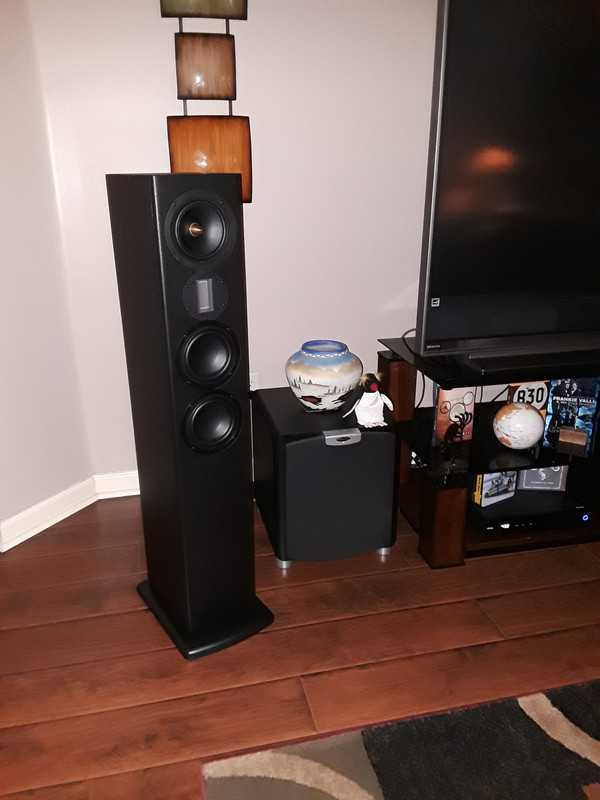 You Have $3000. What speakers do you buy? | Steve Hoffman Music Forums