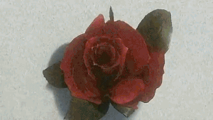 ezgif-com-resize-1.gif