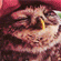 https://i.postimg.cc/zByZwN7y/animals-09.gif