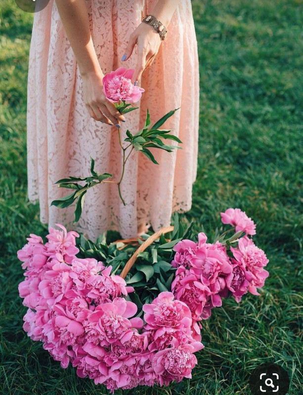 Screenshot_20230623_230524_Pinterest