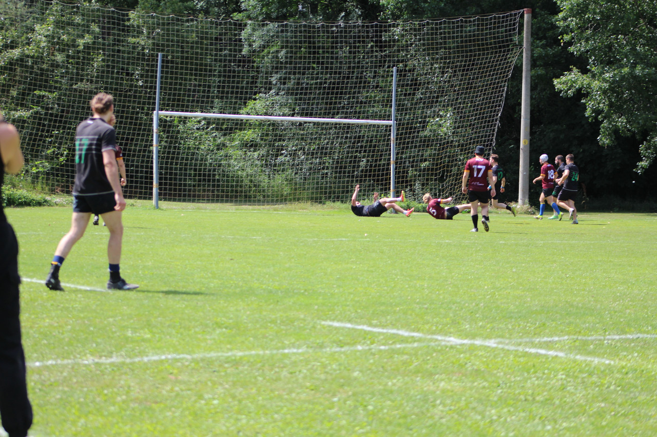 IMG 7849