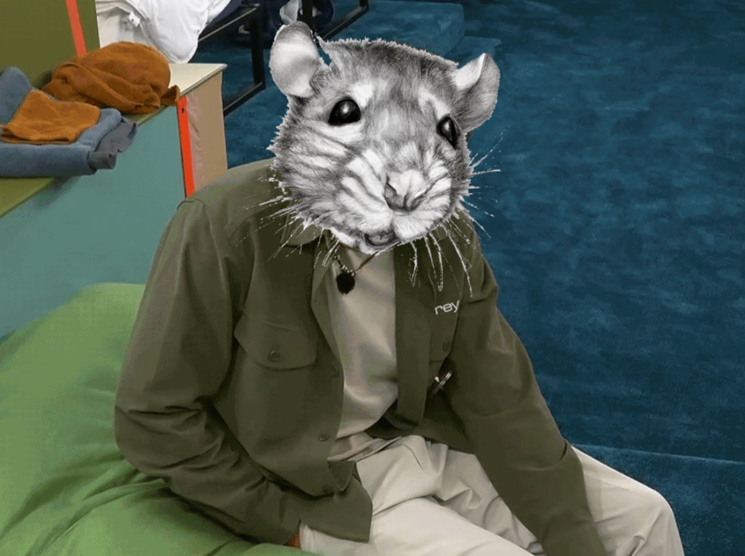 Image7.gif