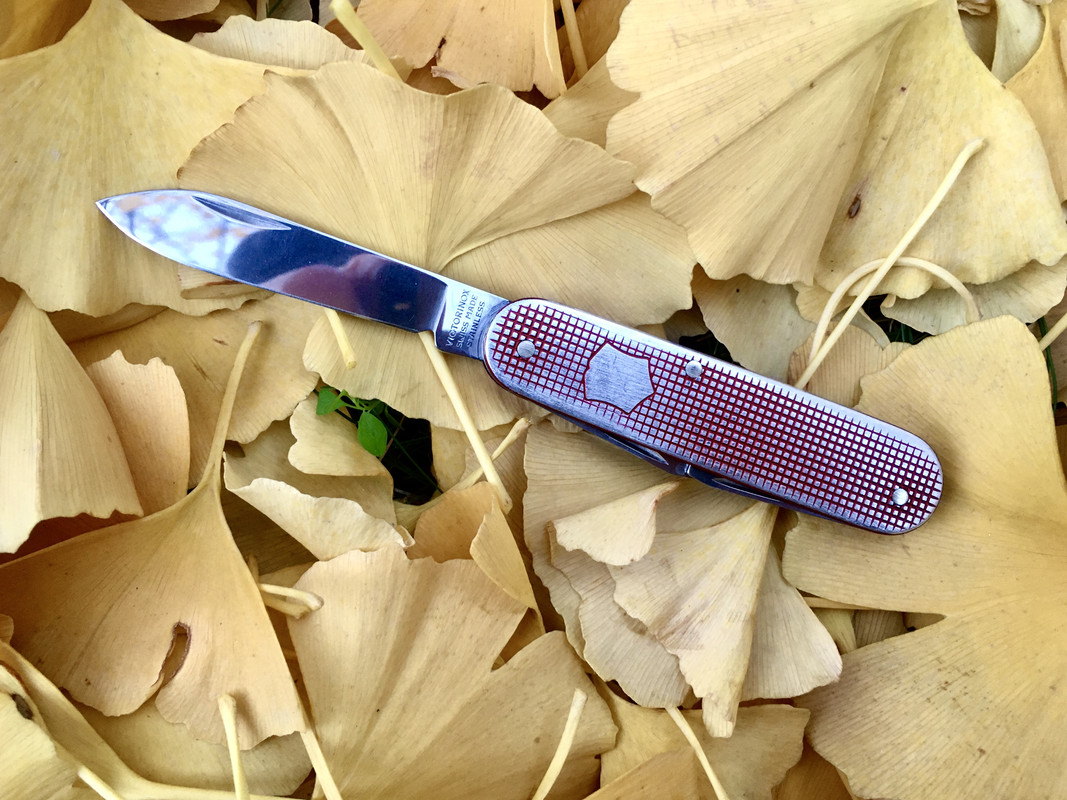 790F85D5-8C29-4829-AA4F-1DAB3C7DE79E