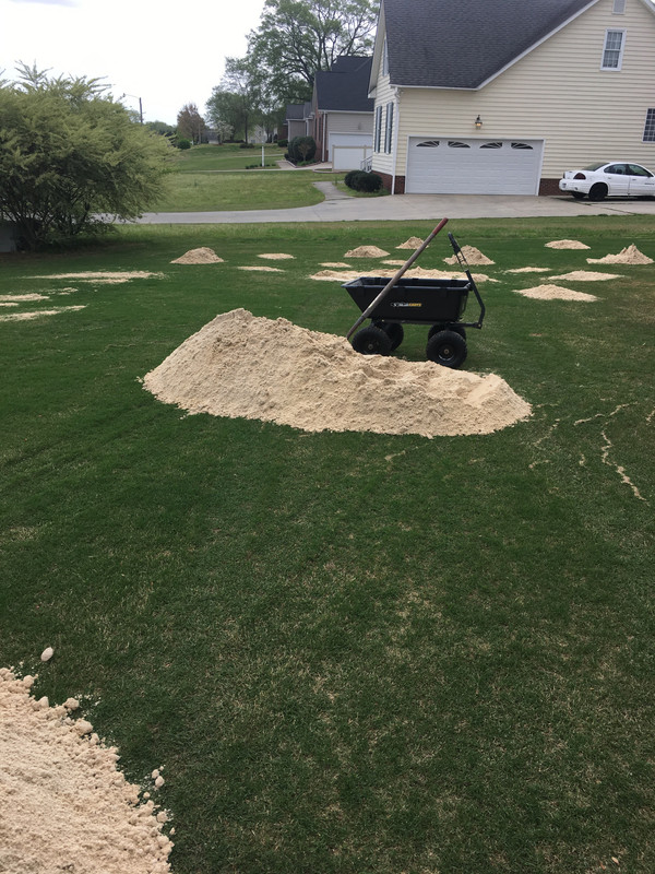 13D50CF1-D379-4813-81C1-6755258418BD